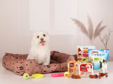 LOT MASCOTA GUAU LMG-2