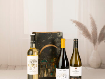 CAIXA C-16 TAST VERTICAL VI PICAPOLL PLA DE BAGES