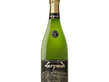 CAIXA CE-398 CORPINNAT