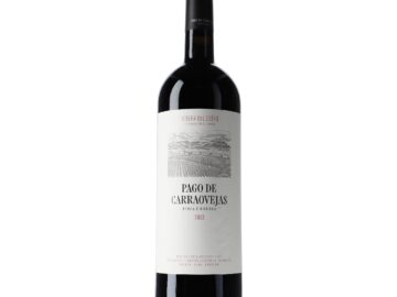 CE-418 MAGNUM D.O.RIBERA DEL DUERO