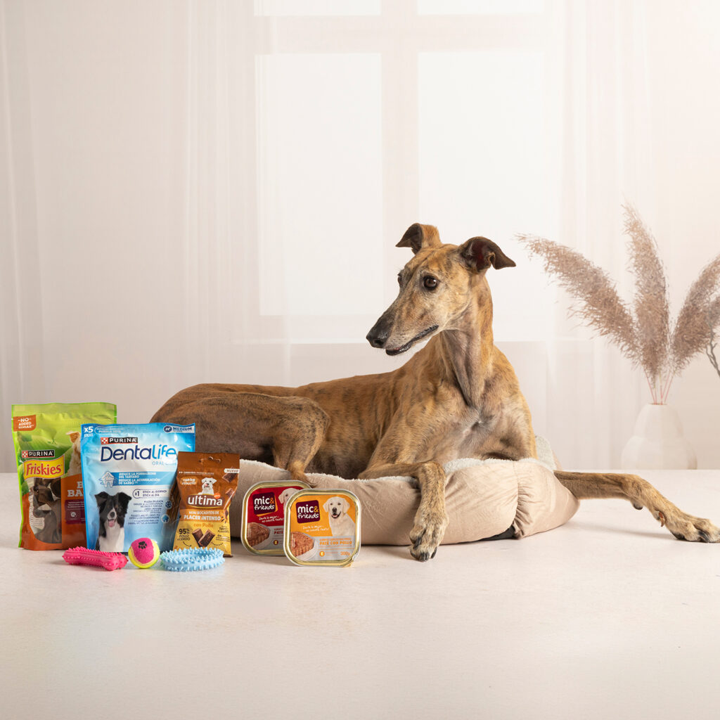 LOT DE NADAL MASCOTA GUAU LMG-2
