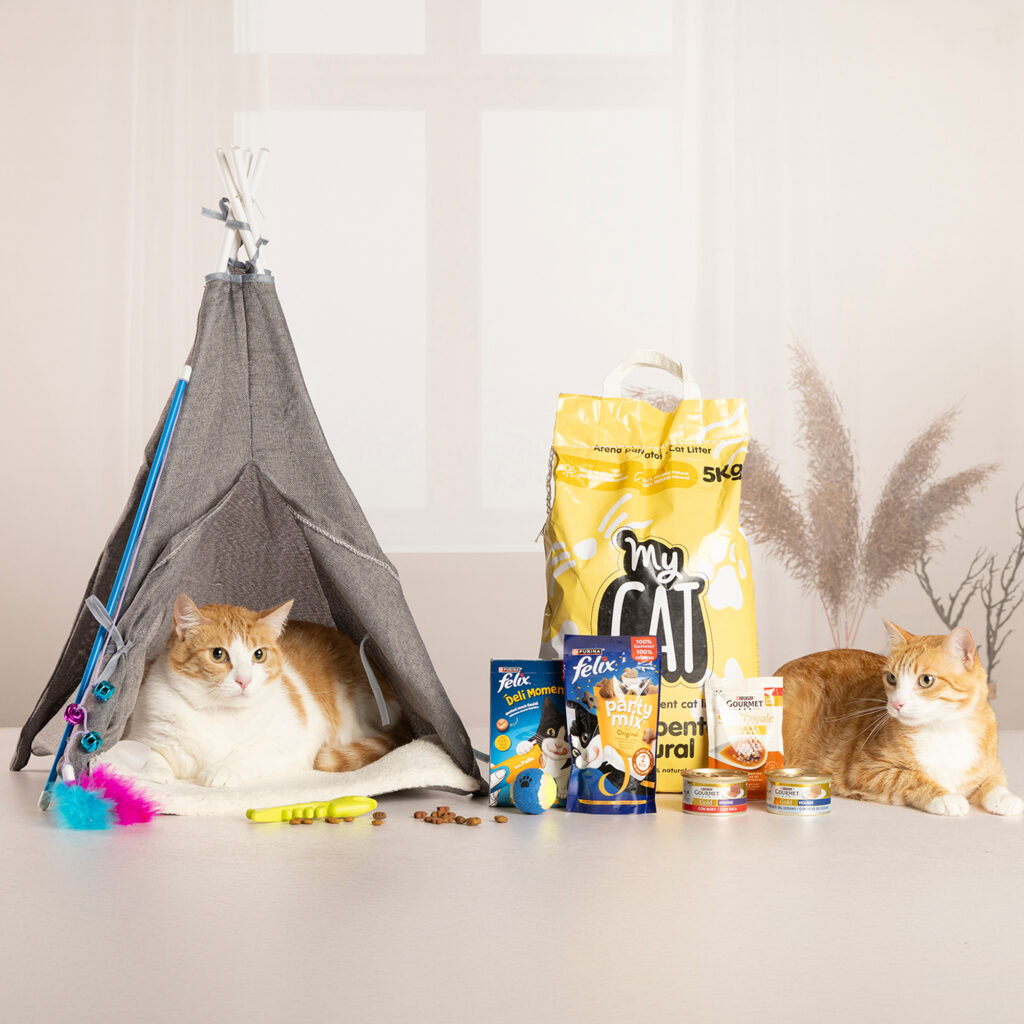 LOT DE NADAL MASCOTA MIAU LMM-1