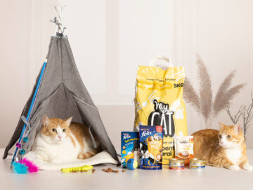 LOT DE NADAL MASCOTA MIAU LMM-1