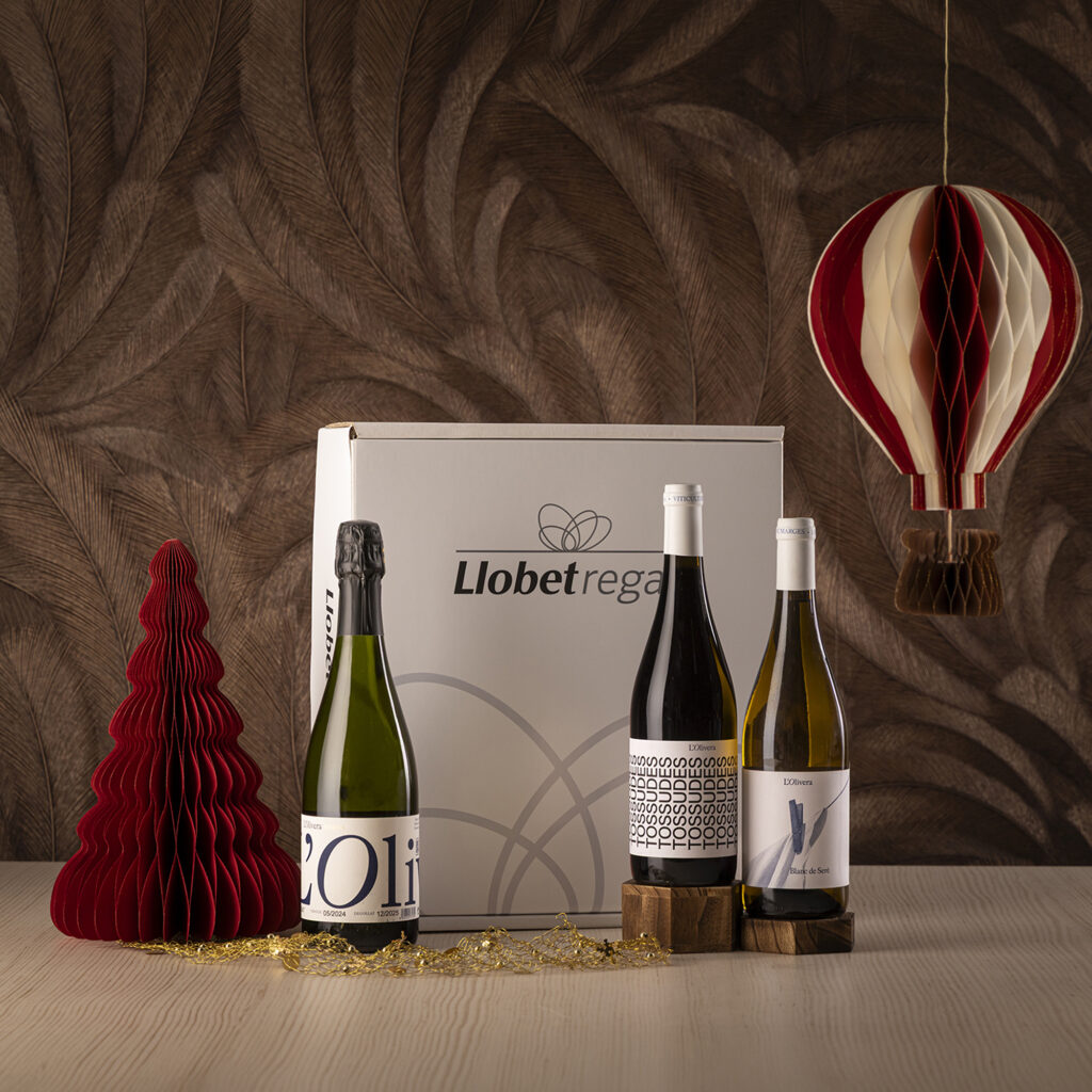 C-37 VINS I CAVA PROJECTE SOCIAL