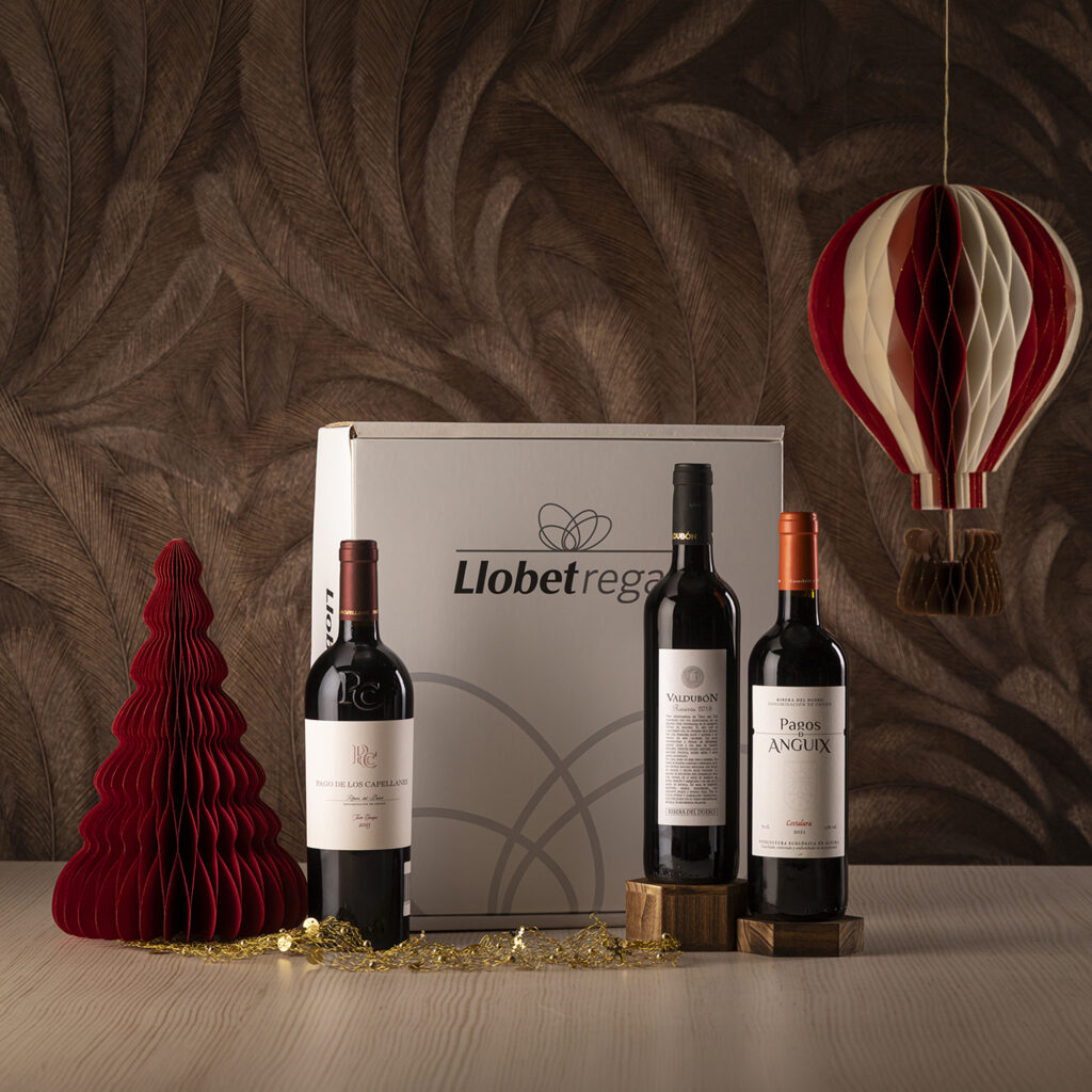 C-9 GRANS VINS D.O.RIBERA DEL DUERO