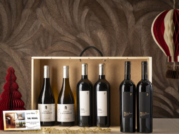 CE-306 VINS CELLER PIÑOL+ HOTEL + VISITA CELLER