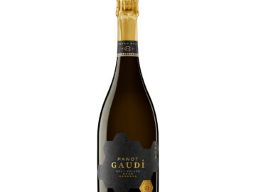 CAIXA CE-262 CAVA