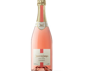 CAIXA CE-301 CORPINNAT ROSAT