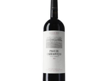 CE-418 MAGNUM D.O.RIBERA DEL DUERO
